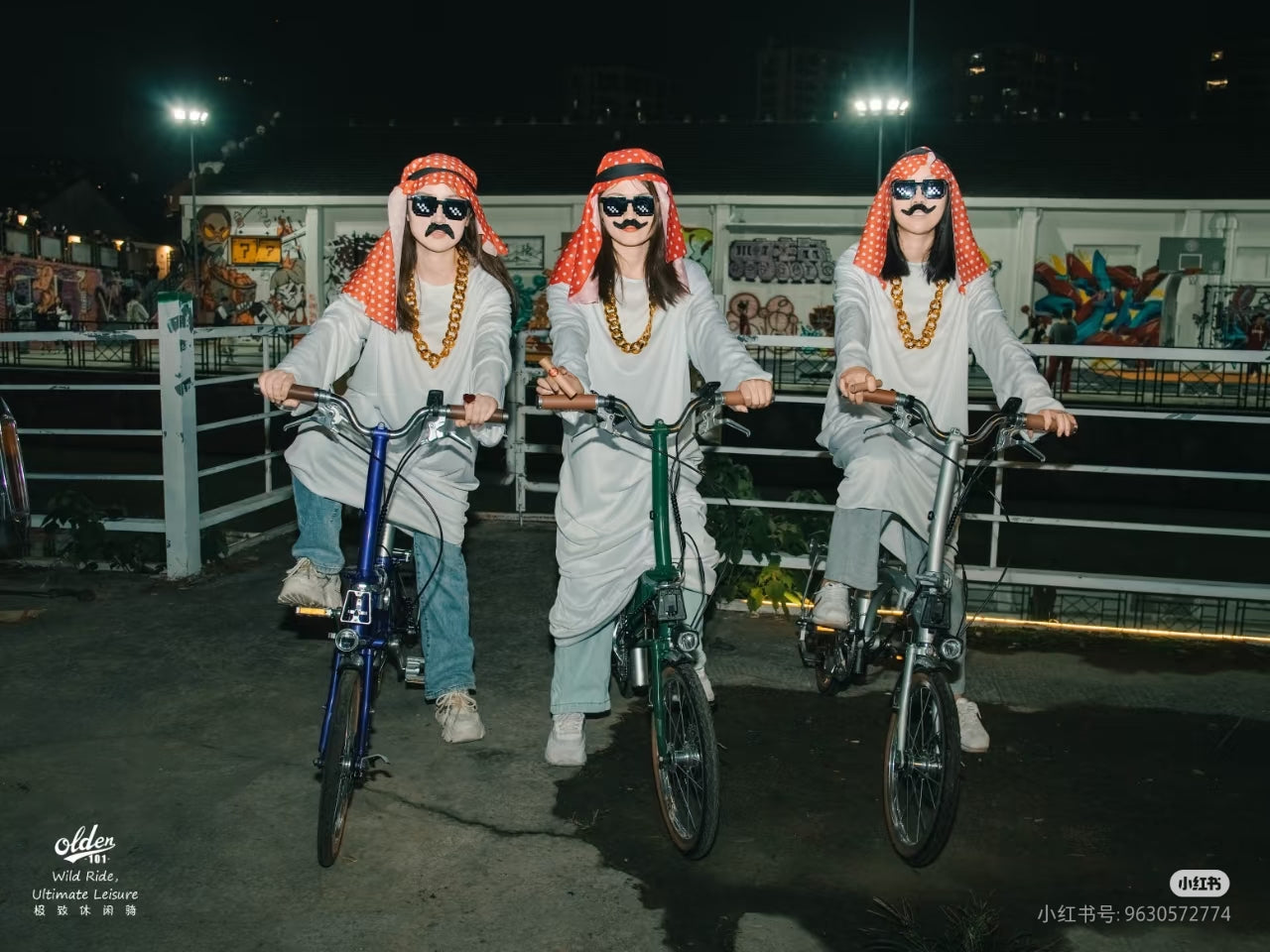Classycat Brompton Style Electric Folding Bike