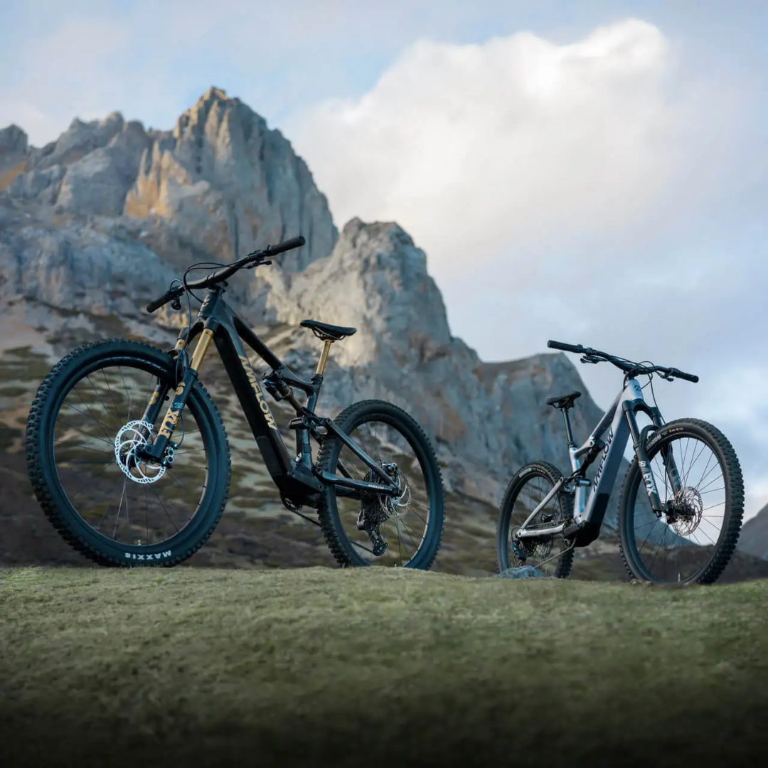 DJI Amflow PL Carbon full suspension mid-drive electric mountain bike(800Wh)