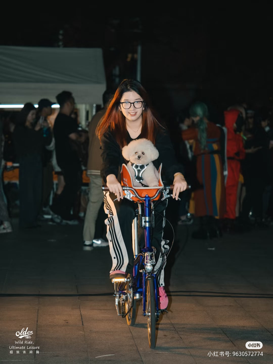 Classycat Brompton Style Electric Folding Bike