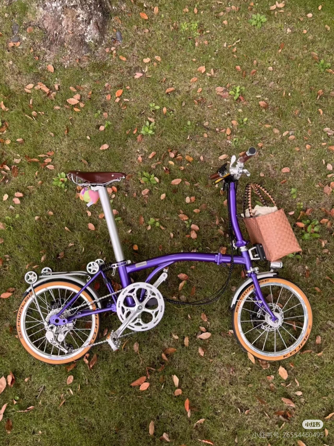 Classycat Brompton Style Electric Folding Bike