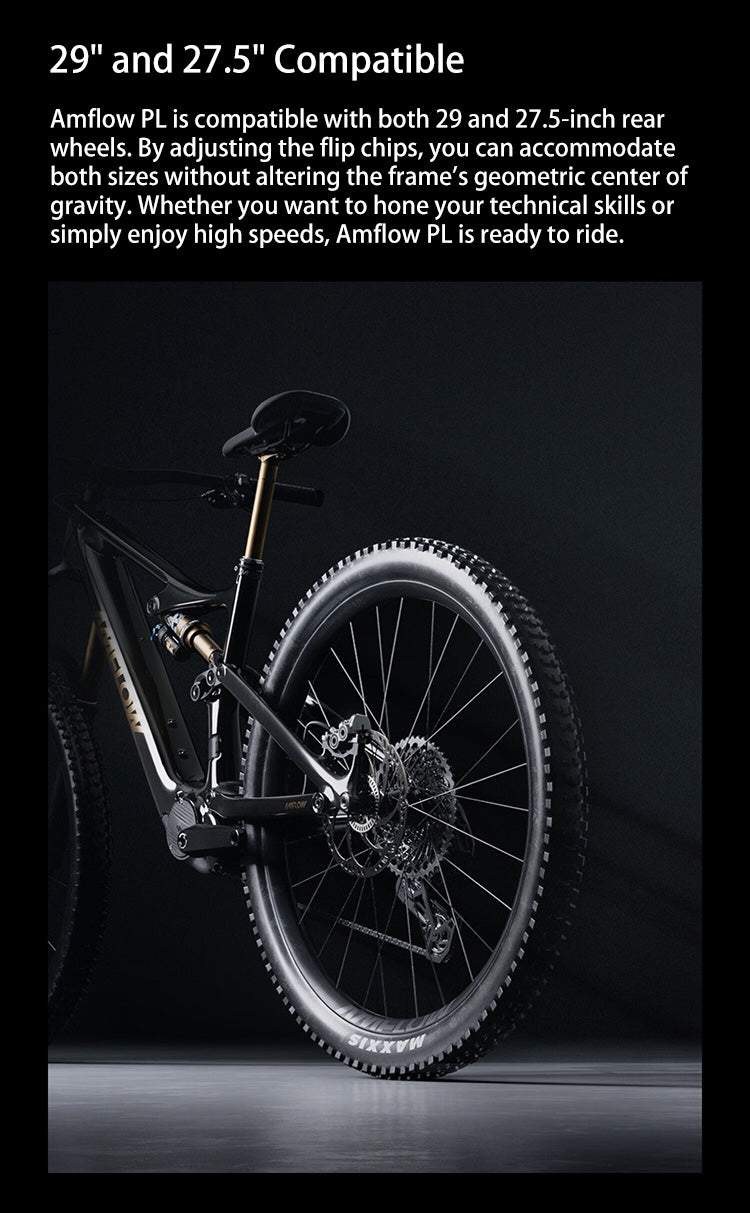 DJI Amflow PL Carbon full suspension mid-drive electric mountain bike(800Wh)