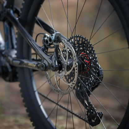 DJI Amflow PL Carbon full suspension mid-drive electric mountain bike(800Wh)