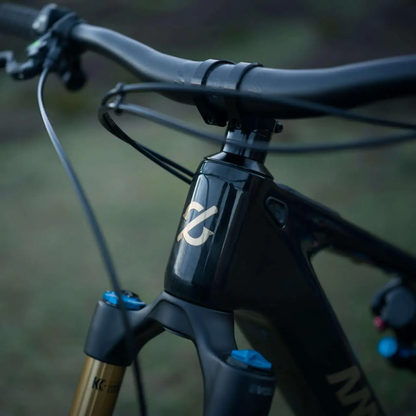DJI Amflow PL Carbon full suspension mid-drive electric mountain bike(800Wh)